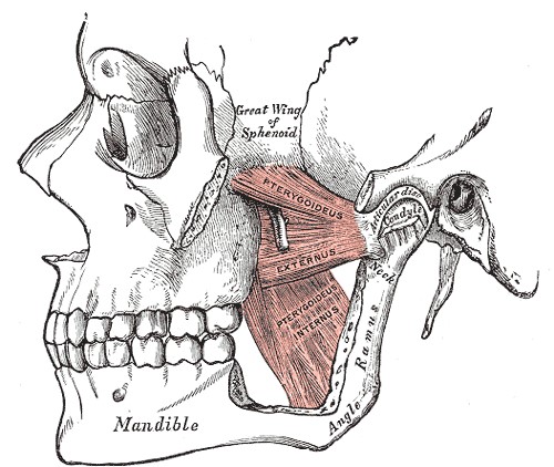 Parodontologia Brescia